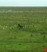 ?Y?7?q艕wI崺]5??籒M夀Hy?w040鸡誔(?T?>O(从cujjmnm87ikl00)